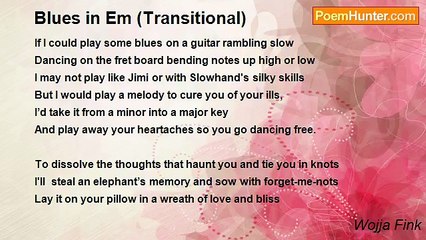 Wojja Fink - Blues in Em (Transitional)