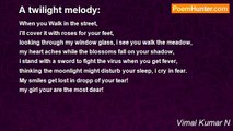 Vimal Kumar N - A twilight melody: