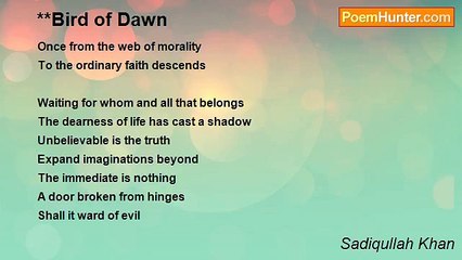 Sadiqullah Khan - **Bird of Dawn