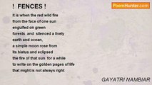 GAYATRI NAMBIAR - !  FENCES !
