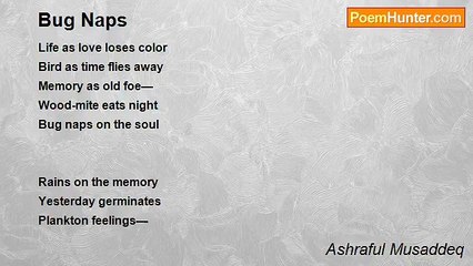 Ashraful Musaddeq - Bug Naps