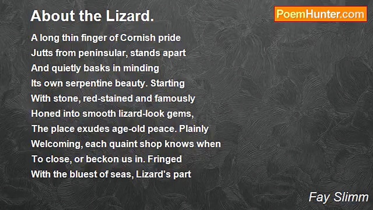 Fay Slimm - About the Lizard.