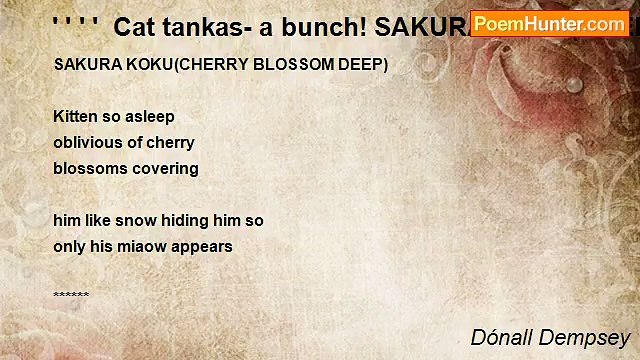 Dónall Dempsey - ' ' ' ' Cat tankas- a bunch! SAKURA KOKU(CHERRY BLOSSOM DEEP)