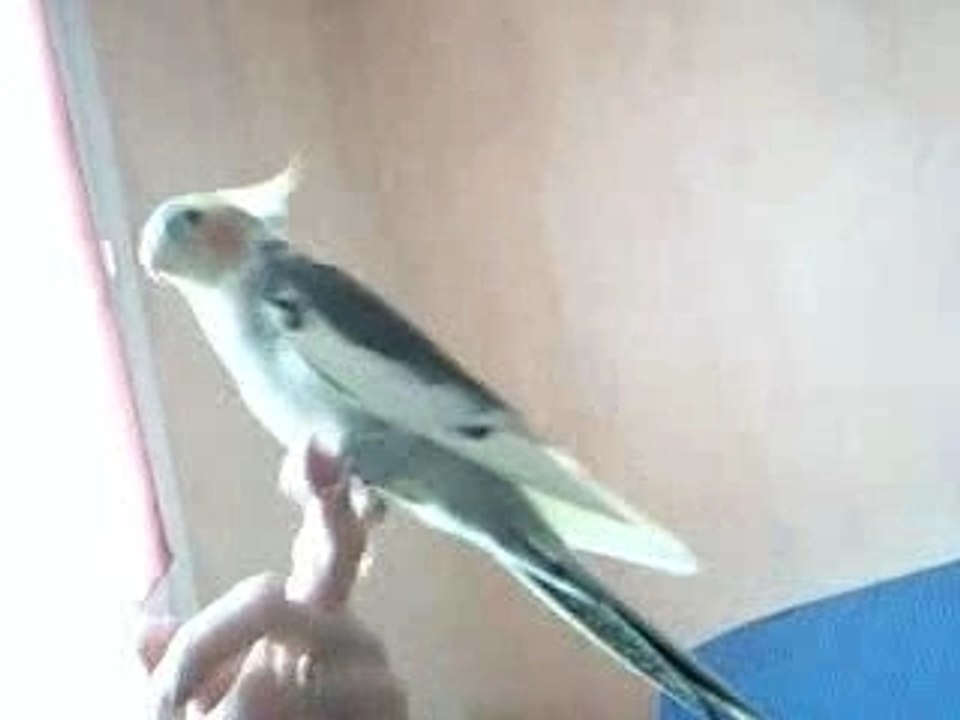 Vidéo 2