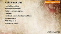 James James - A little nut tree