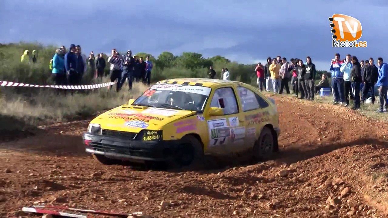 RALLYSPRINT DE TIERRA DE SARIEGOS 2014