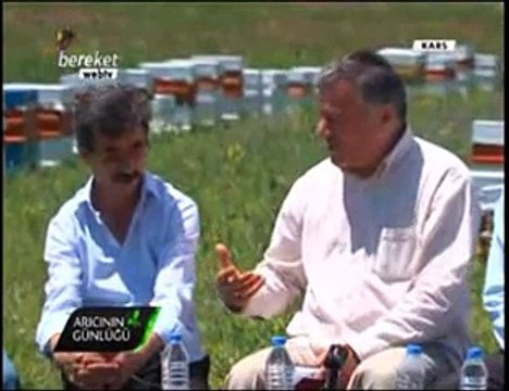 al Arıcılığı - Kars ve Ağrıda Arıcılık ve Bal Üretimi- 3. Bölüm