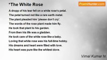 Vimal Kumar N - *The White Rose