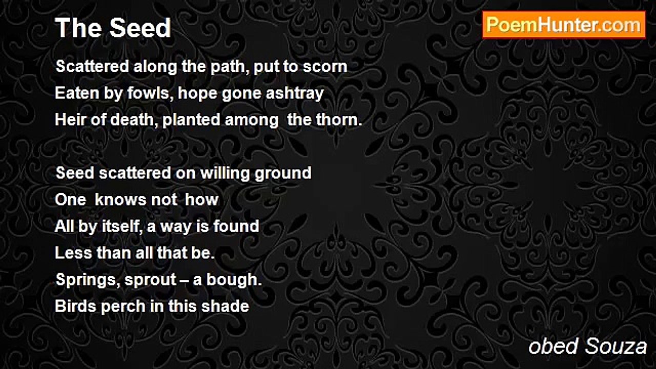 obed Souza - The Seed