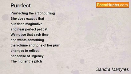 Sandra Martyres - Purrfect