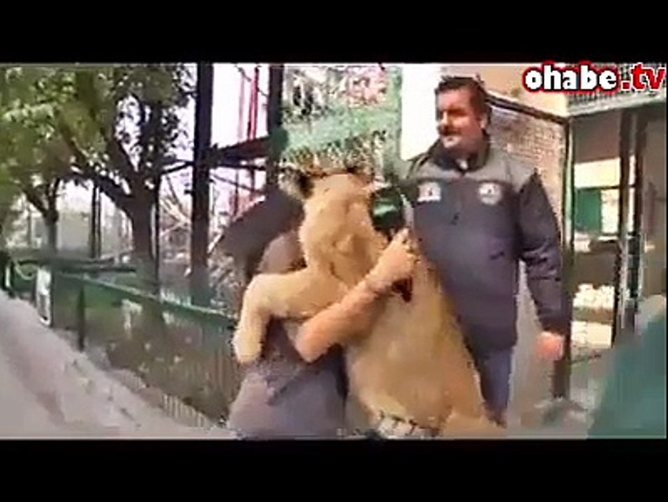 Aslan kadının boynunu bırakmadı