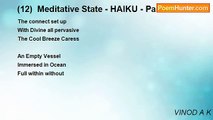 VINOD A K - (12)  Meditative State - HAIKU - Part 3