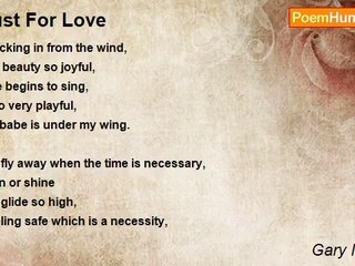 Gary McPhail - Lust For Love