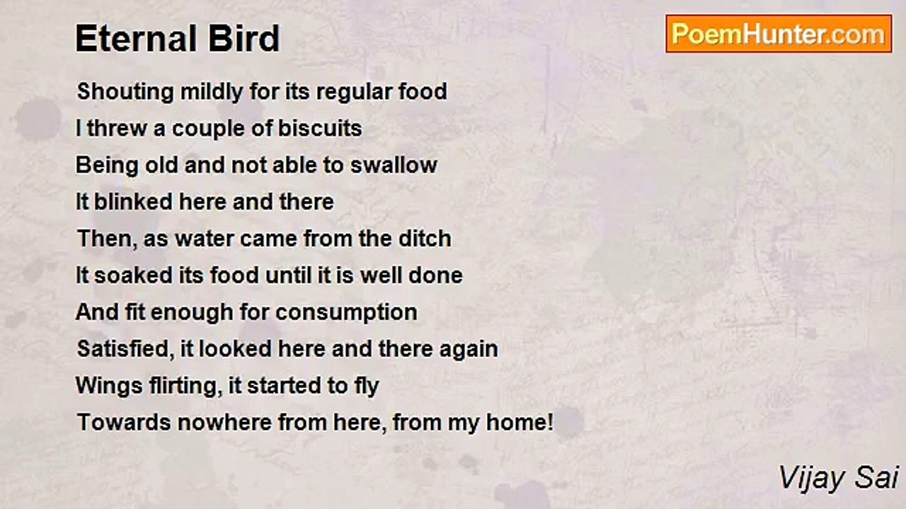 Vijay Sai - Eternal Bird