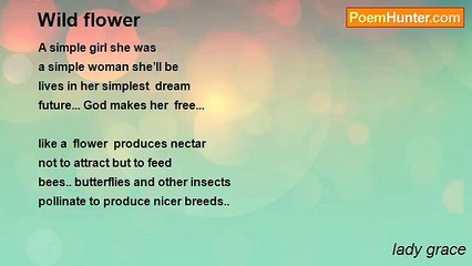 lady grace - Wild flower