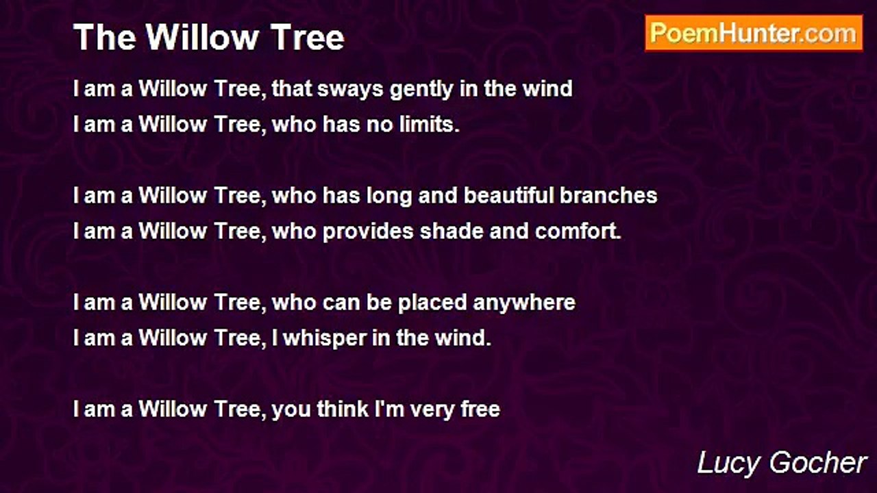 Lucy Gocher - The Willow Tree