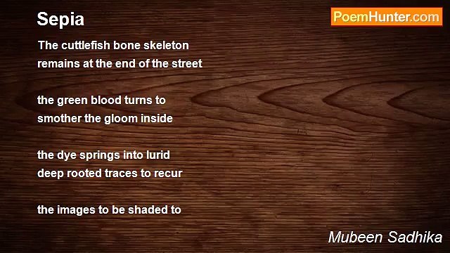 Mubeen Sadhika - Sepia