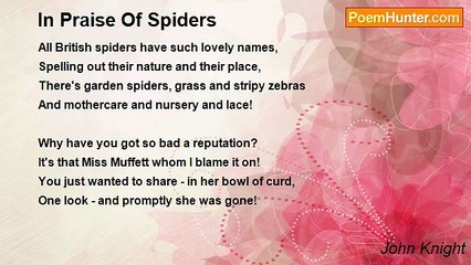 John Knight - In Praise Of Spiders