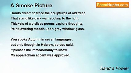 Sandra Fowler - A Smoke Picture