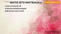 Dónall Dempsey - ' ' ' ' WHITE INTO WHITE(Haiku)