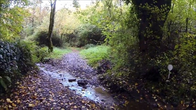 Sortie Rochefort-sur-Loire - VTT Briollay