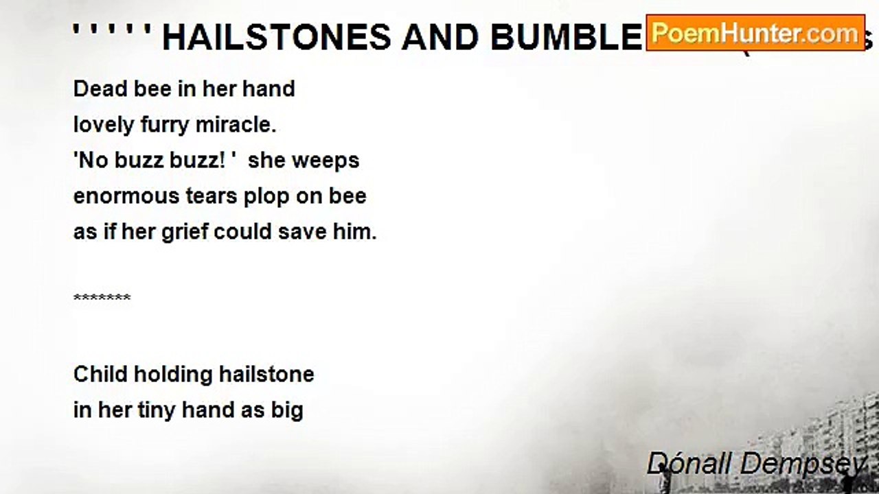 Dónall Dempsey - ' ' ' ' ' HAILSTONES AND BUMBLEBEES(Tankas for Imogen)