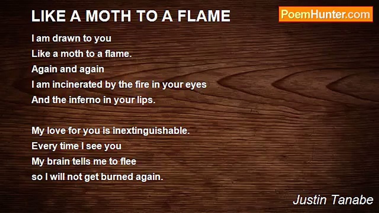 Justin Tanabe - LIKE A MOTH TO A FLAME