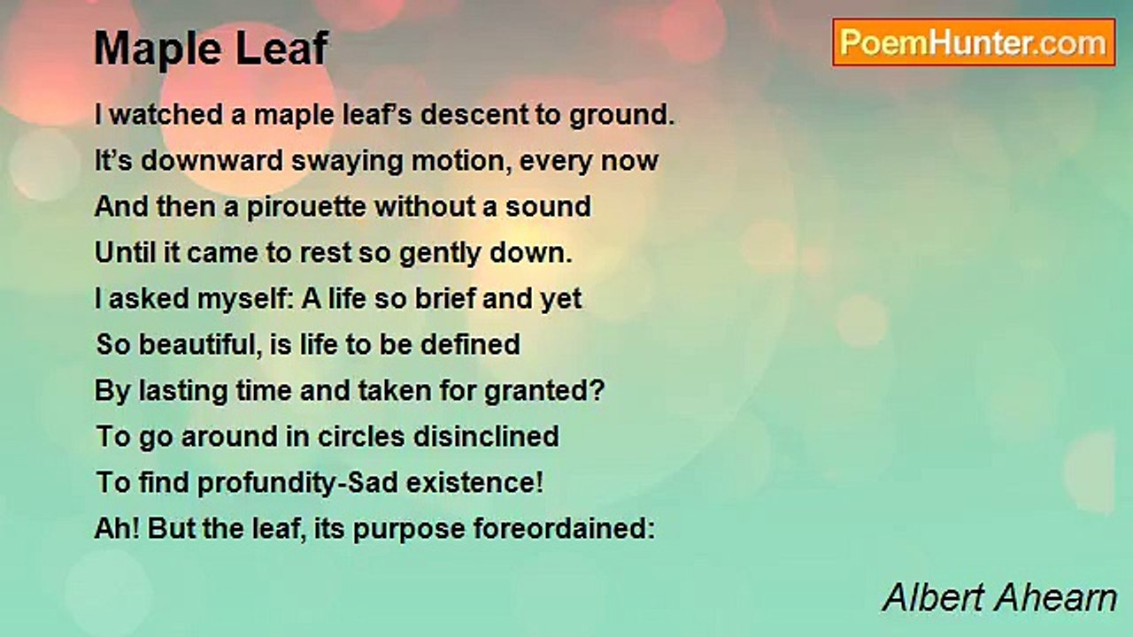 Albert Ahearn - Maple Leaf