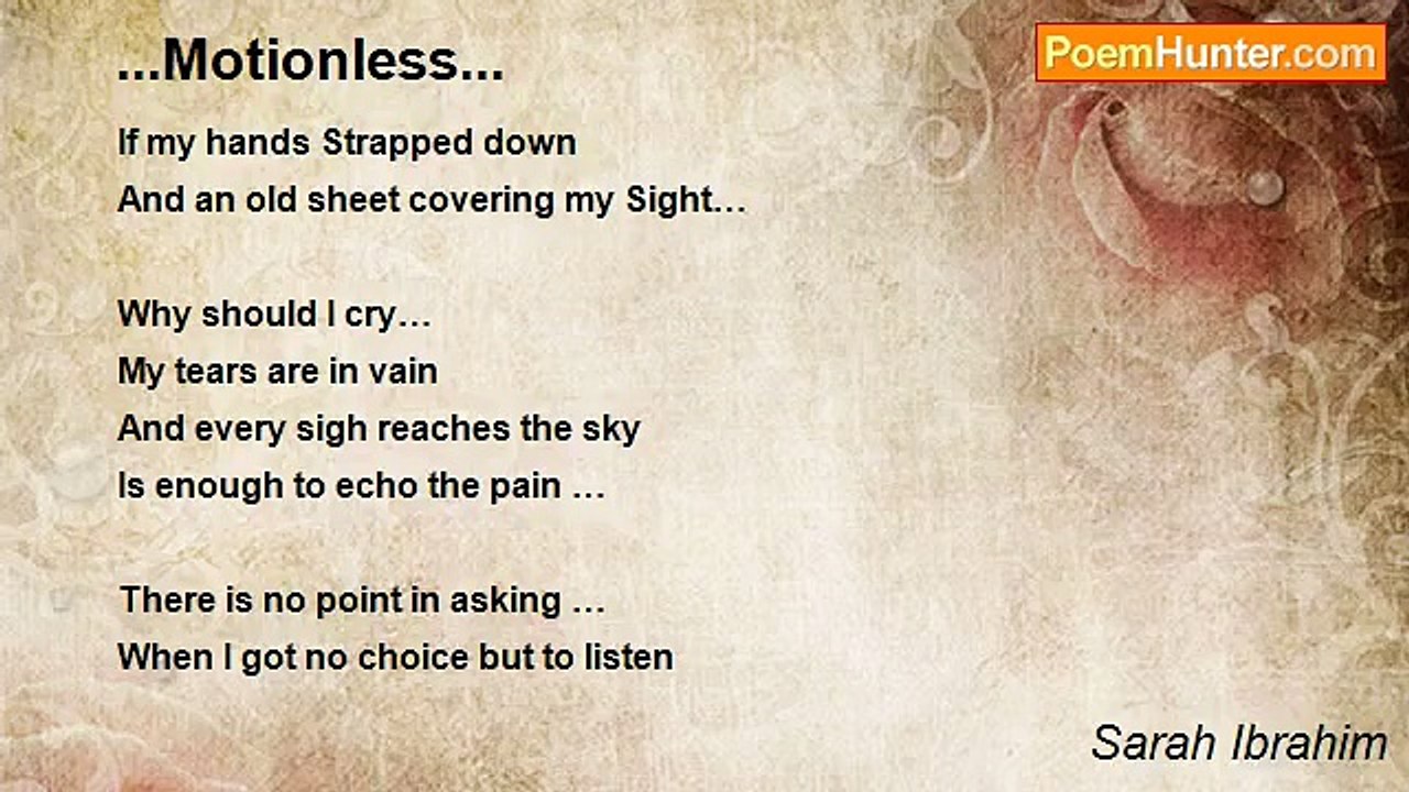 Sarah Ibrahim - ...Motionless...