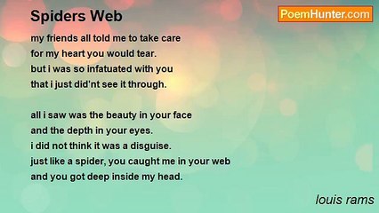 louis rams - Spiders Web