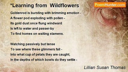 Lillian Susan Thomas - *Learning from  Wildflowers