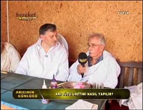 Arı Sütü - Arı Sütü (Royal jelly) Nedir Nasıl Üretilir- 1. Bölüm