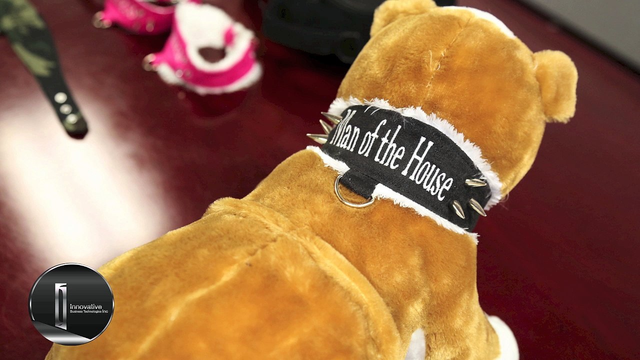 Welcome to Innovative Business Technologies Inc. | Unique Corporate Gifts pt. 6