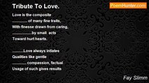 Fay Slimm - Tribute To Love.