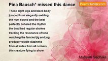 Mubeen Sadhika - Pina Bausch* missed this dance