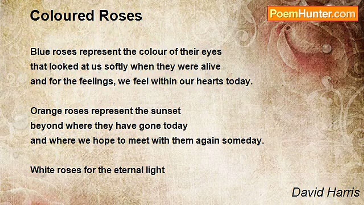 David Harris - Coloured Roses