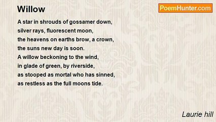 Laurie hill - Willow