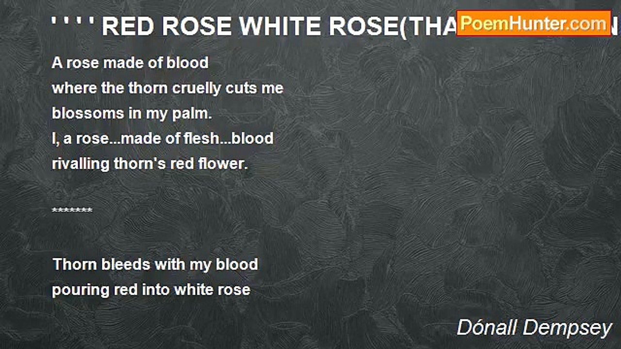 Dónall Dempsey - ' ' ' ' RED ROSE WHITE ROSE(THANK YOU TANKAS FOR ONELIA)