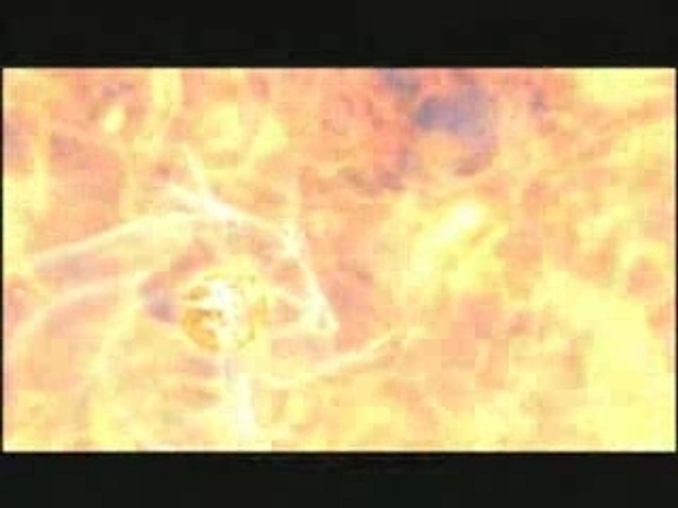 Final_fantasy_xii_video_14_-_