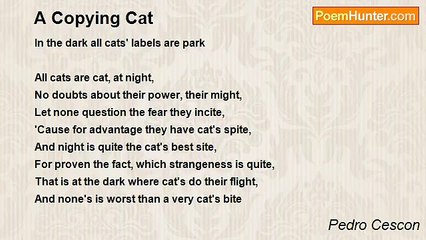 Pedro Cescon - A Copying Cat