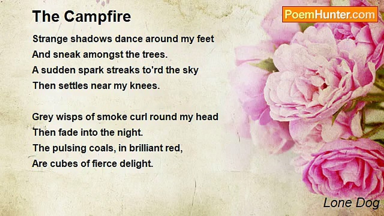 Lone Dog - The Campfire
