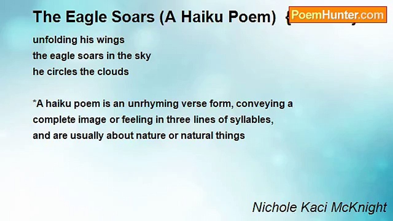 Nichole Kaci McKnight - The Eagle Soars (A Haiku Poem)  {Revised}