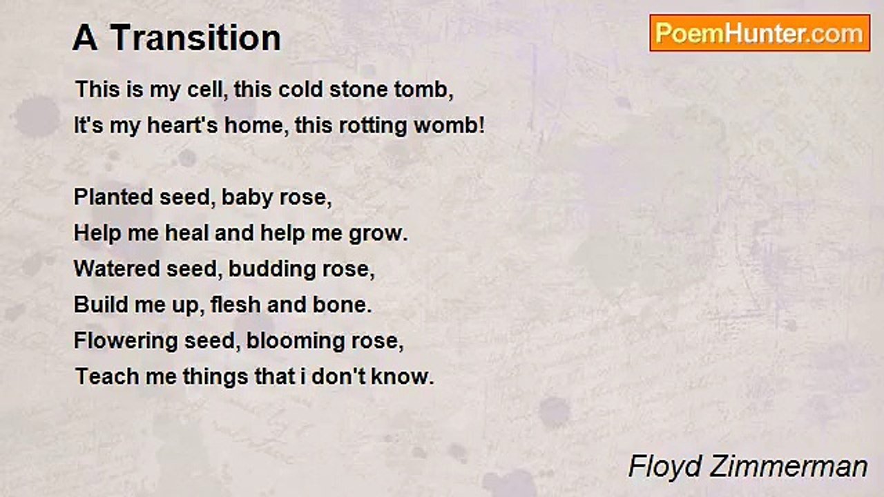 Floyd Zimmerman - A Transition