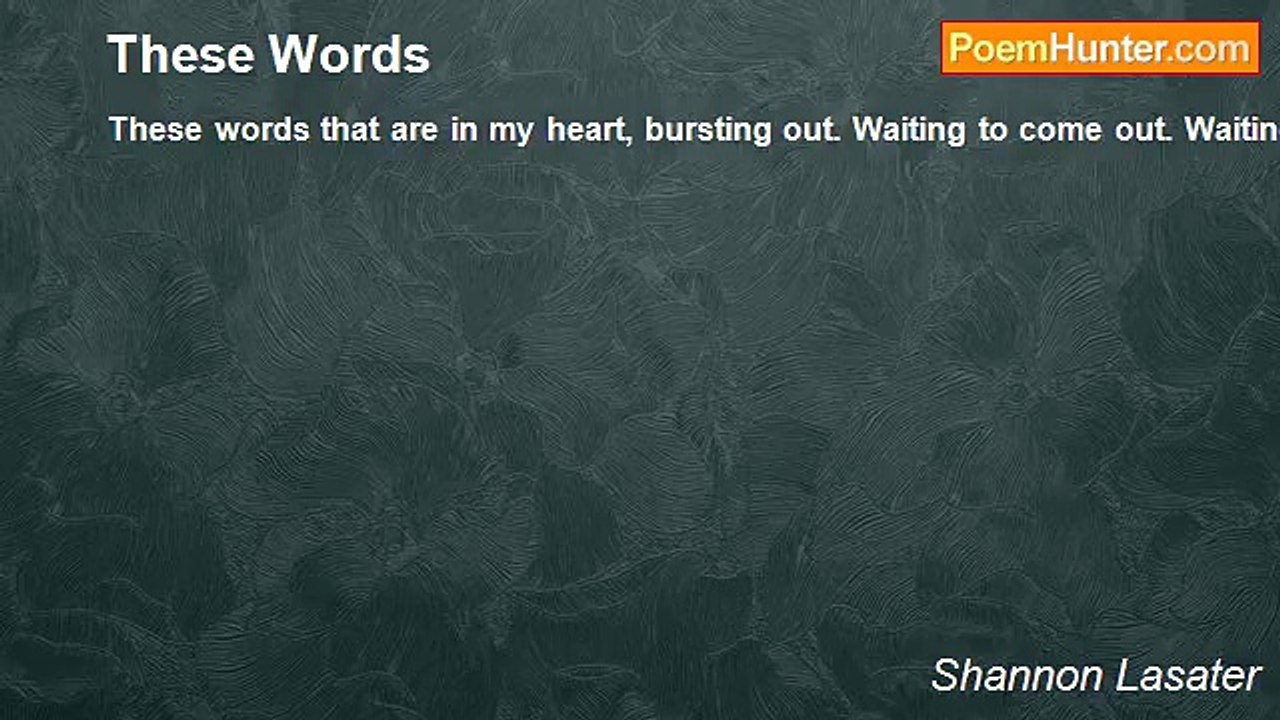 Shannon Lasater - These Words