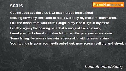 hannah brandeberry - scars