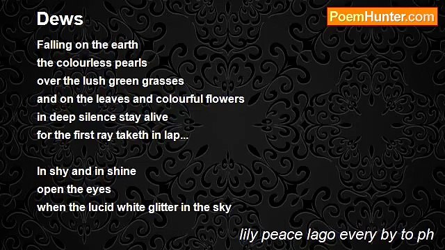 lily peace lago every by to ph - Dews