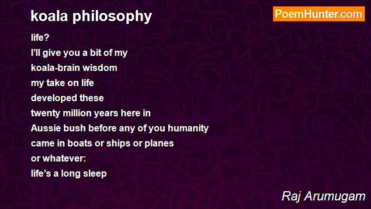 Raj Arumugam - koala philosophy