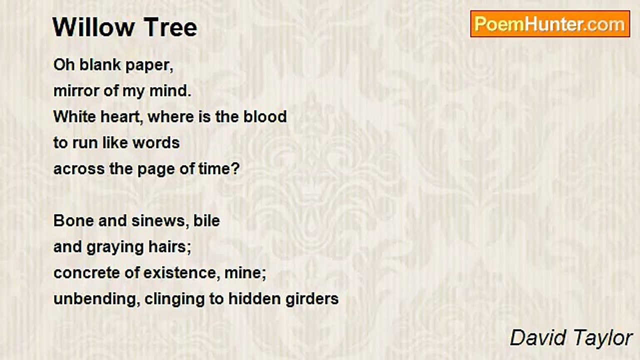 David Taylor - Willow Tree