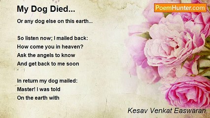 Kesav Venkat Easwaran - My Dog Died...