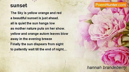 hannah brandeberry - sunset